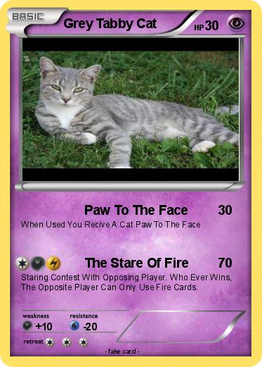 Pokemon Grey Tabby Cat