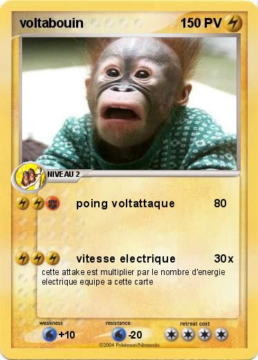 Pokemon voltabouin