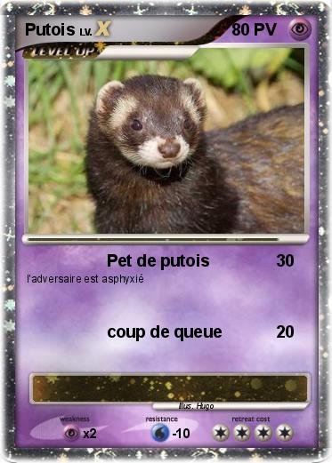 Pokemon Putois