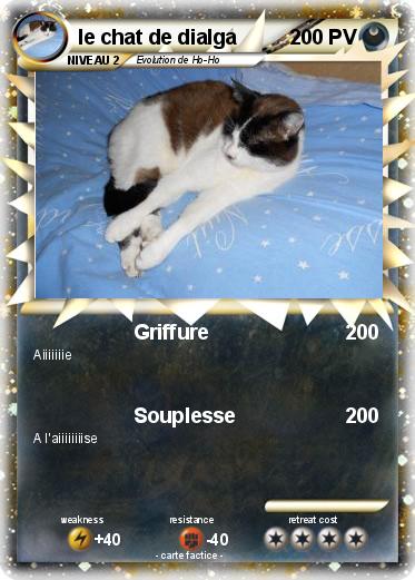 Pokemon le chat de dialga