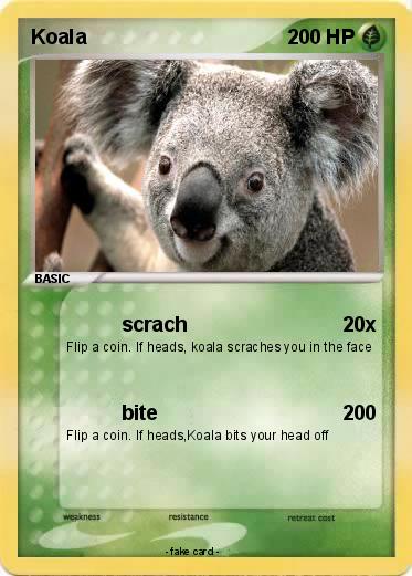Pokemon Koala