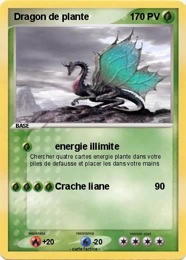 Pokemon Dragon de plante