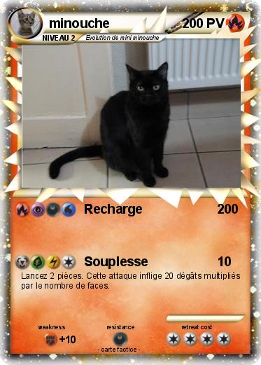 Pokemon minouche