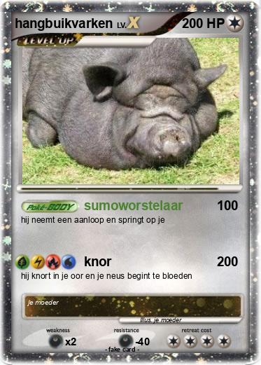 Pokemon hangbuikvarken