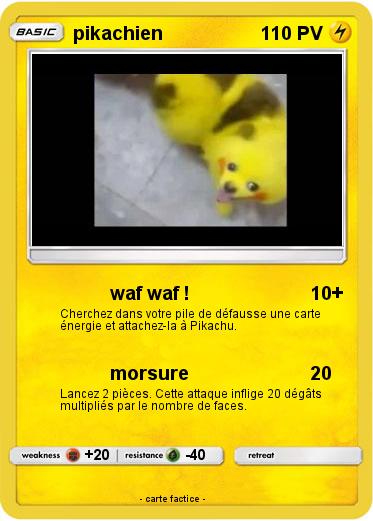 Pokemon pikachien