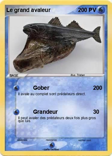 Pokemon Le grand avaleur