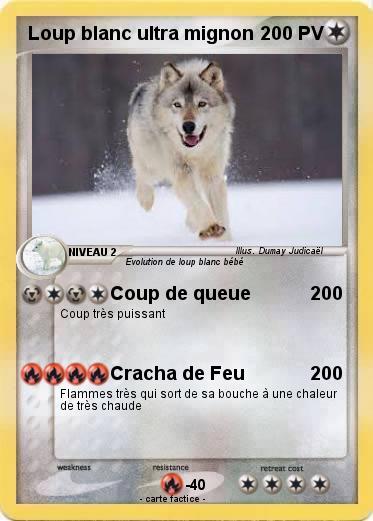 Pokemon Loup blanc ultra mignon
