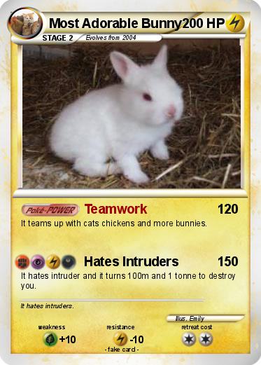 Pokemon Most Adorable Bunny