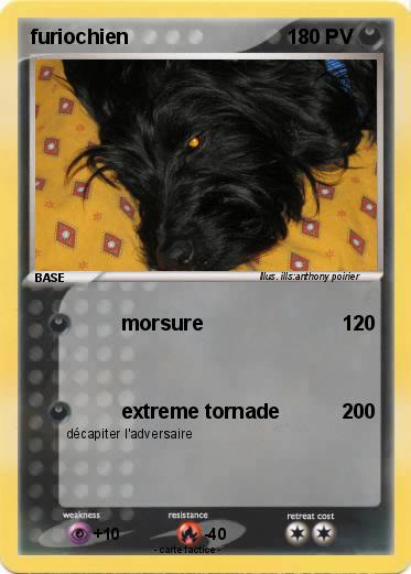 Pokemon furiochien
