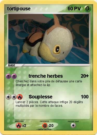 Pokemon tortipouse