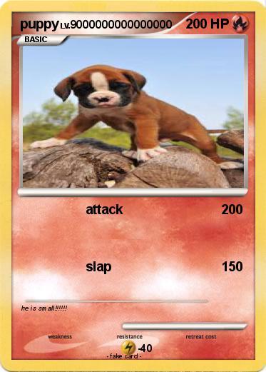 Pokemon puppy