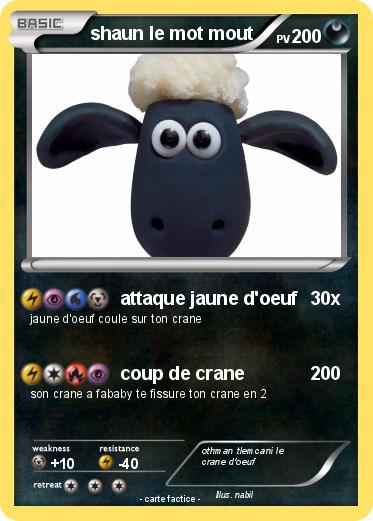 Pokemon shaun le mot mout