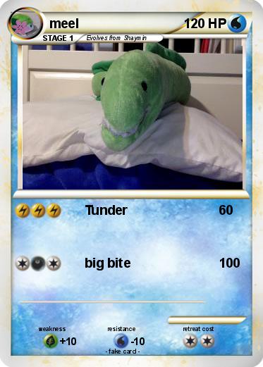 Pokemon meel