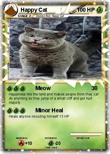 Pokemon Happy Cat