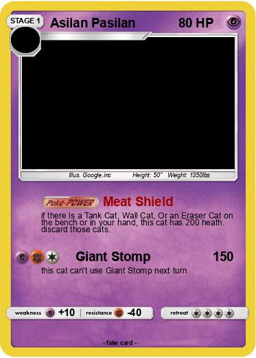 Pokemon Asilan Pasilan