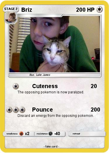 Pokemon Briz