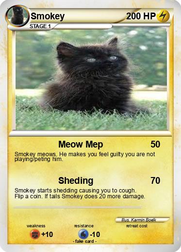 Pokemon Smokey