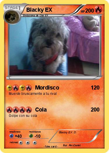 Pokemon Blacky EX