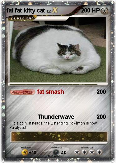 Pokemon fat fat kitty cat