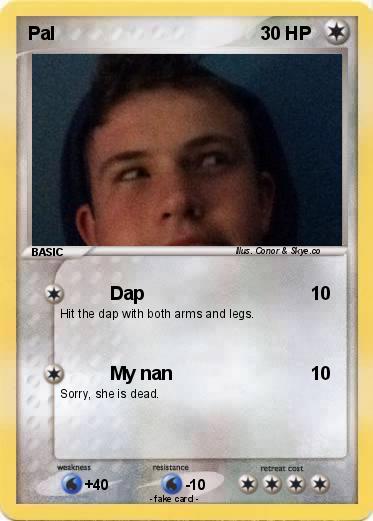 Pokemon Pal