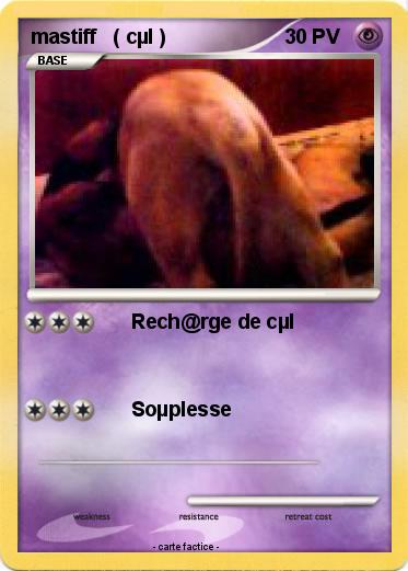 Pokemon mastiff   ( cµl )