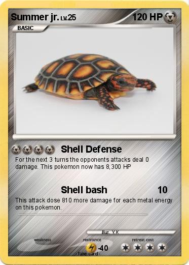 Pokemon Summer jr.