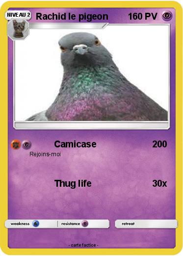 Pokemon Rachid le pigeon