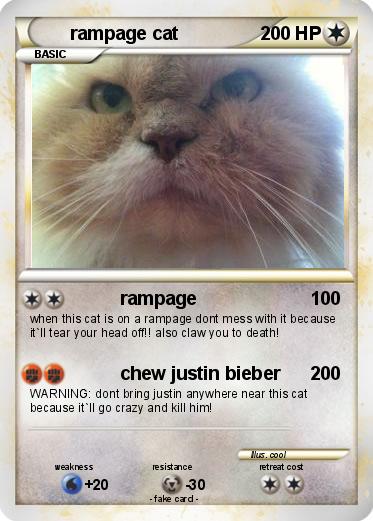 Pokemon rampage cat