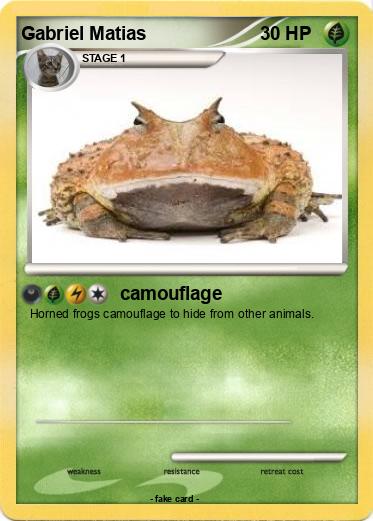 Pokemon Gabriel Matias