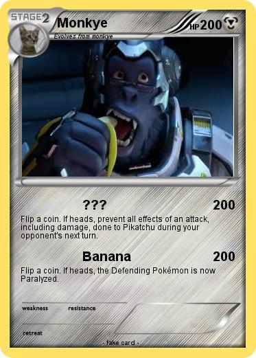 Pokemon Monkye