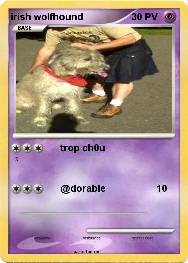 Pokemon irish wolfhound