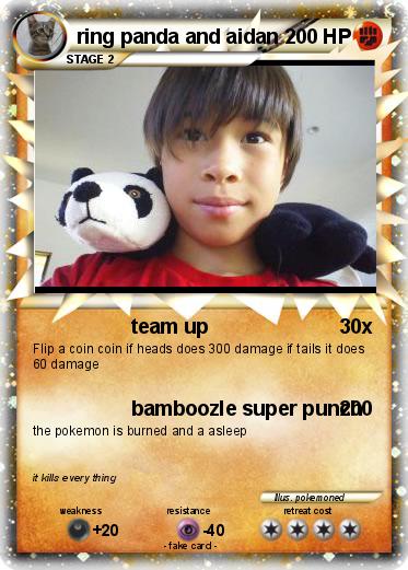 Pokemon ring panda and aidan