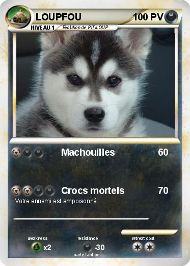 Pokemon LOUPFOU