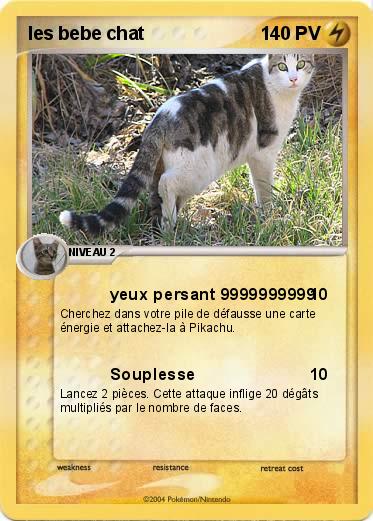 Pokemon les bebe chat