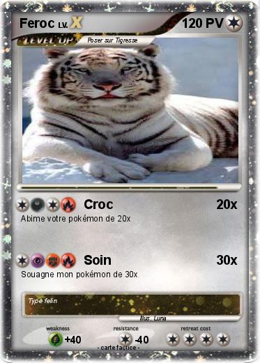 Pokemon Feroc