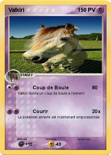 Pokemon Valkiri