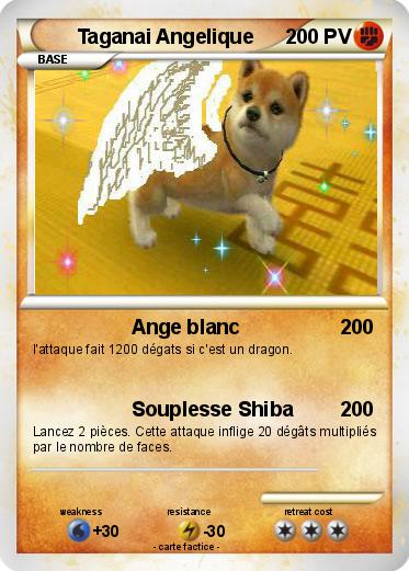 Pokemon Taganai Angelique