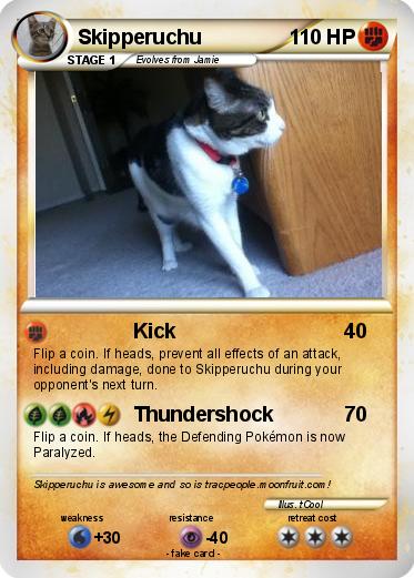 Pokemon Skipperuchu