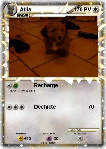 Pokemon Atila