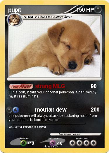 Pokemon pupit
