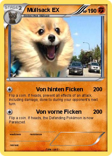 Pokemon Müllsack EX