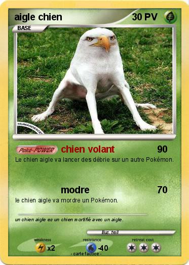 Pokemon aigle chien