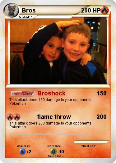 Pokemon Bros