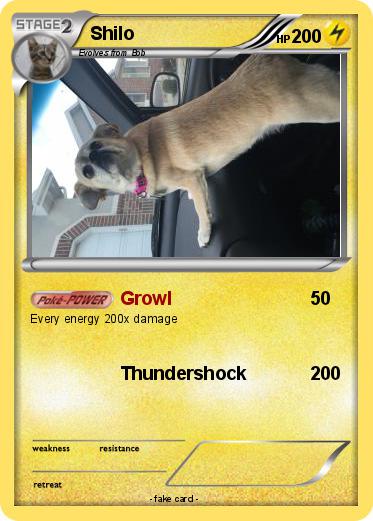 Pokemon Shilo