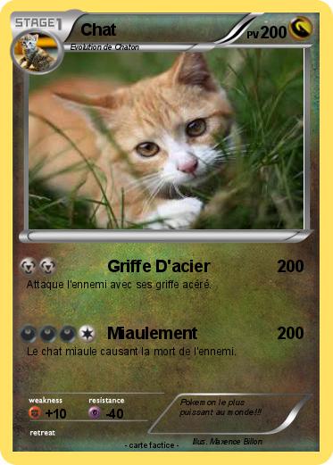 Pokemon Chat