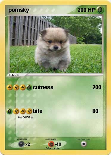 Pokemon pomsky