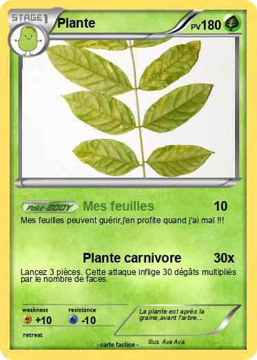 Pokemon Plante