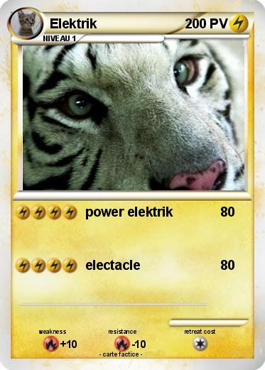 Pokemon Elektrik