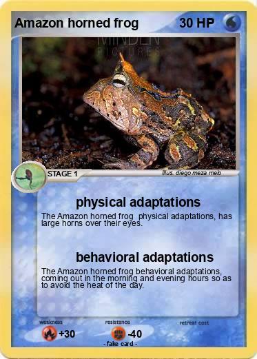 Pokemon Amazon horned frog