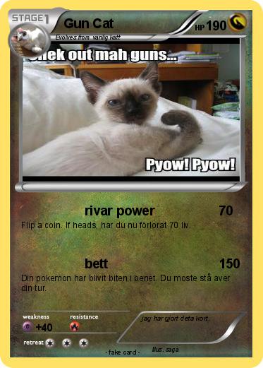 Pokemon Gun Cat